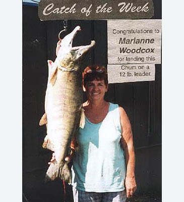 Record photograph for Oncorhynchus keta